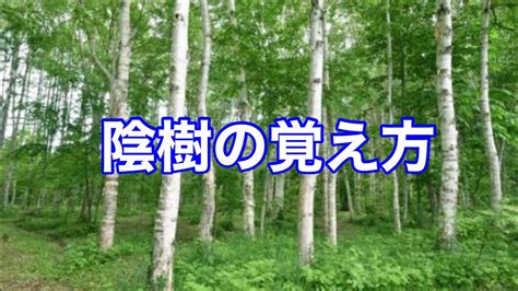 陽樹 陰樹|雑木林の遊歩道～植生【陽樹・陰樹・落葉樹・常緑樹・広葉樹・。